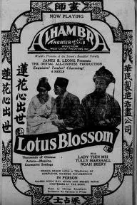Lotus Blossom_peliplat