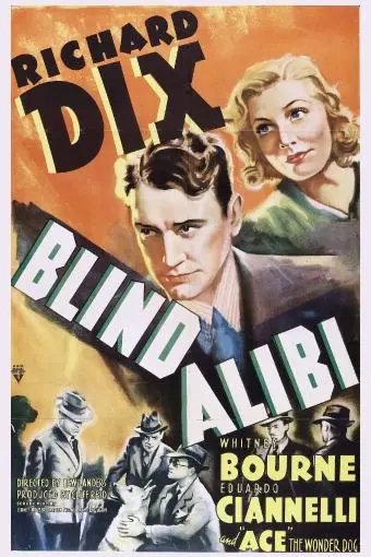 Blind Alibi_peliplat