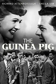 The Guinea Pig_peliplat