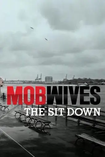 Mob Wives: The Sit Down_peliplat