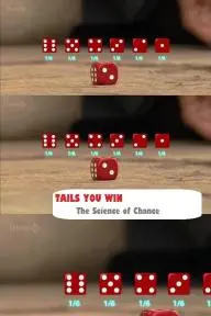 Tails You Win: The Science of Chance_peliplat