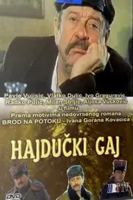 Hajducki gaj_peliplat