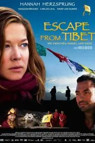 Escape from Tibet_peliplat