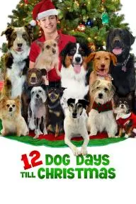 12 Dog Days Till Christmas_peliplat