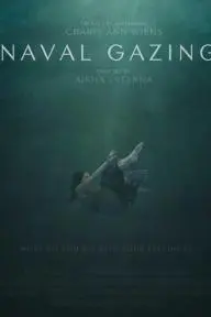 Naval Gazing_peliplat
