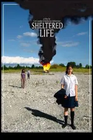 Sheltered Life_peliplat