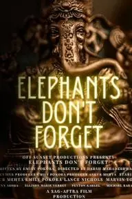 Elephants Don't Forget_peliplat