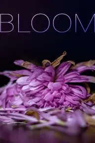 Bloom_peliplat