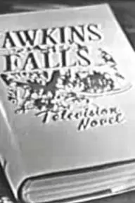 Hawkins Falls: A Television Novel_peliplat