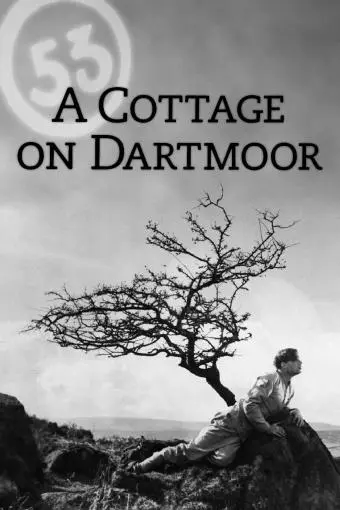 Escape from Dartmoor_peliplat