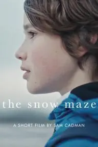 The Snow Maze_peliplat