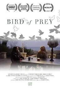 Bird of Prey_peliplat
