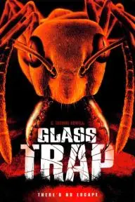 Glass Trap_peliplat