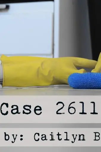 Case 2611_peliplat