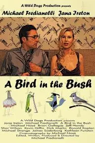 A Bird in the Bush_peliplat