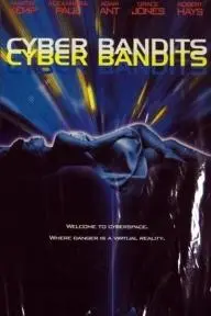 Cyber Bandits_peliplat