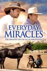 Everyday Miracles_peliplat