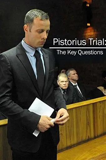Pistorius Trial: The Key Questions_peliplat