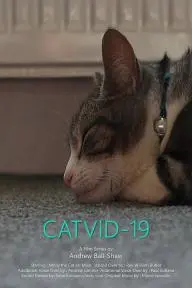 CATVID-19_peliplat