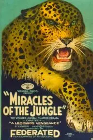 Miracles of the Jungle_peliplat