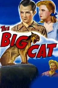 The Big Cat_peliplat