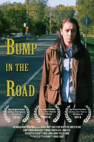 Bump in the Road_peliplat