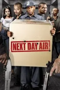 Next Day Air_peliplat
