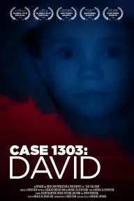 Case 1303: David_peliplat