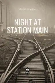 Night at Station Main (proof of concept)_peliplat