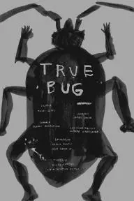 True Bug_peliplat