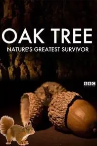 Oak Tree: Nature's Greatest Survivor_peliplat