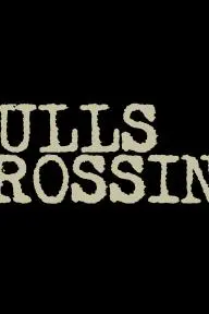 Bulls Crossing_peliplat
