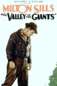 The Valley of the Giants_peliplat