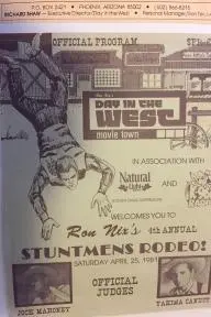 Stuntman's Rodeo_peliplat