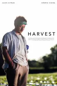 Harvest_peliplat
