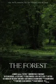 The Forest_peliplat