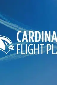 Cardinals Flight Plan_peliplat