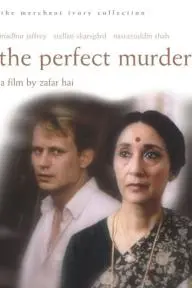 The Perfect Murder_peliplat