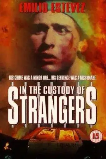 In the Custody of Strangers_peliplat