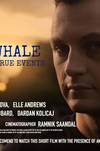 Blue Whale F57_peliplat