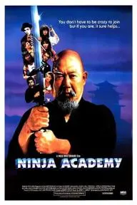 Ninja Academy_peliplat