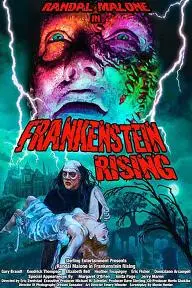 Frankenstein Rising_peliplat