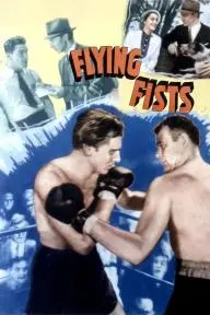 Flying Fists_peliplat