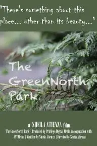 The GreenNorth Park_peliplat