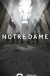 Rebuilding Notre Dame_peliplat