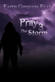 Pray 3D: The Storm_peliplat