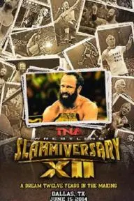 TNA: Slammiversary XII_peliplat