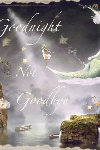 Goodnight Not Goodbye_peliplat