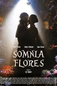 Somnia Flores_peliplat
