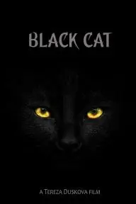 Black Cat_peliplat